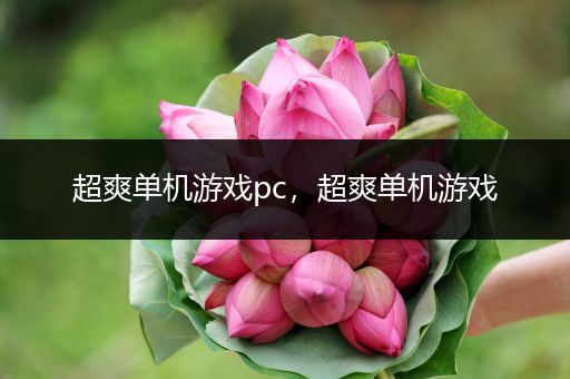超爽单机游戏pc，超爽单机游戏