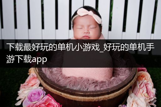 下载最好玩的单机小游戏_好玩的单机手游下载app