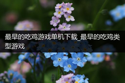 最早的吃鸡游戏单机下载_最早的吃鸡类型游戏