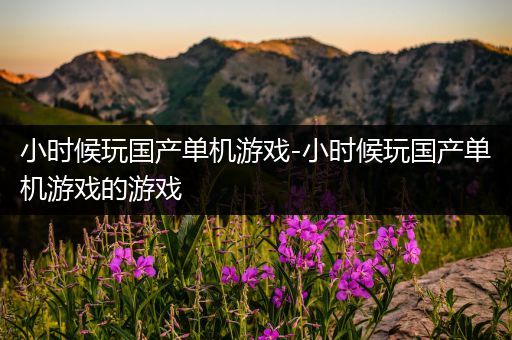 小时候玩国产单机游戏-小时候玩国产单机游戏的游戏