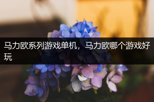 马力欧系列游戏单机，马力欧哪个游戏好玩