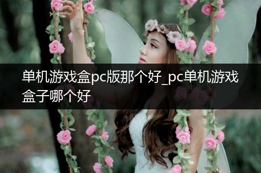 单机游戏盒pc版那个好_pc单机游戏盒子哪个好