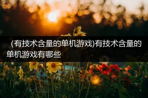 （有技术含量的单机游戏)有技术含量的单机游戏有哪些