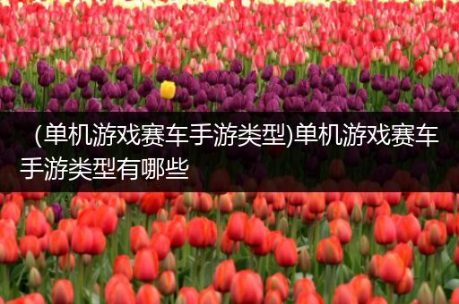 （单机游戏赛车手游类型)单机游戏赛车手游类型有哪些