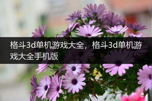 格斗3d单机游戏大全，格斗3d单机游戏大全手机版