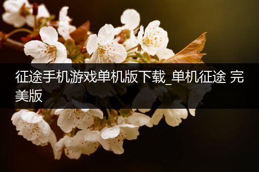 征途手机游戏单机版下载_单机征途 完美版