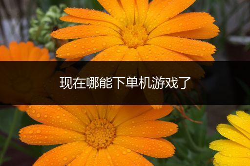 现在哪能下单机游戏了