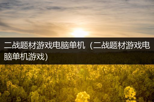 二战题材游戏电脑单机（二战题材游戏电脑单机游戏）