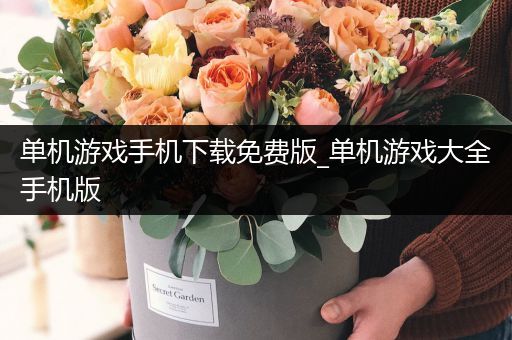 单机游戏手机下载免费版_单机游戏大全手机版