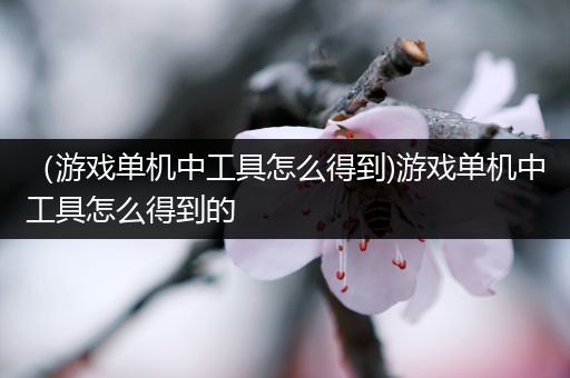 （游戏单机中工具怎么得到)游戏单机中工具怎么得到的