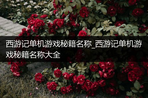 西游记单机游戏秘籍名称_西游记单机游戏秘籍名称大全