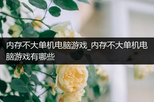 内存不大单机电脑游戏_内存不大单机电脑游戏有哪些