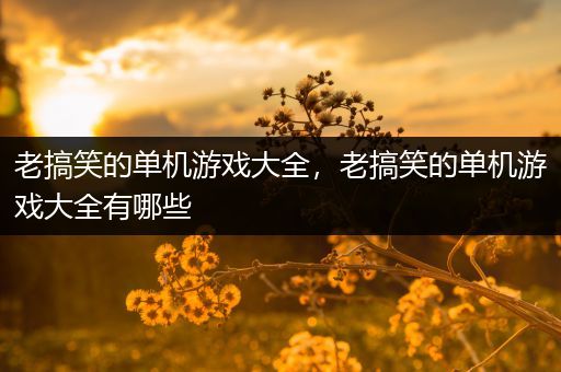 老搞笑的单机游戏大全，老搞笑的单机游戏大全有哪些