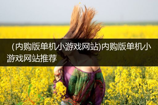 （内购版单机小游戏网站)内购版单机小游戏网站推荐