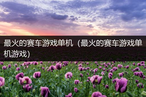 最火的赛车游戏单机（最火的赛车游戏单机游戏）