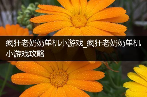 疯狂老奶奶单机小游戏_疯狂老奶奶单机小游戏攻略
