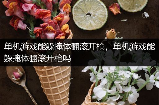单机游戏能躲掩体翻滚开枪，单机游戏能躲掩体翻滚开枪吗