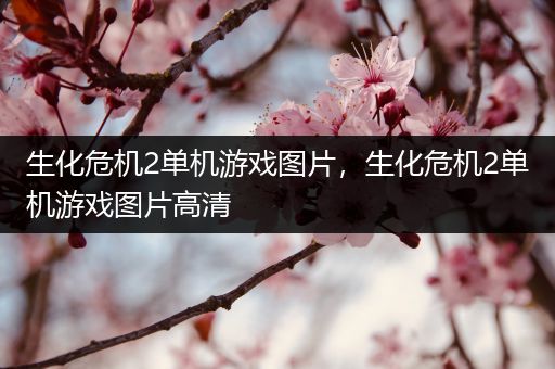 生化危机2单机游戏图片，生化危机2单机游戏图片高清