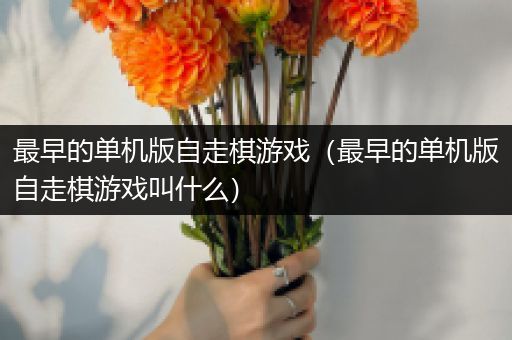 最早的单机版自走棋游戏（最早的单机版自走棋游戏叫什么）