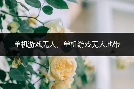 单机游戏无人，单机游戏无人地带