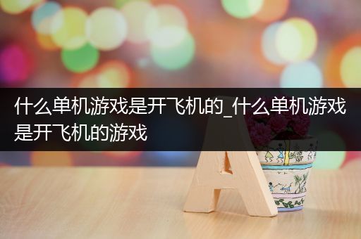什么单机游戏是开飞机的_什么单机游戏是开飞机的游戏