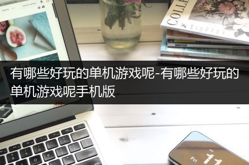 有哪些好玩的单机游戏呢-有哪些好玩的单机游戏呢手机版