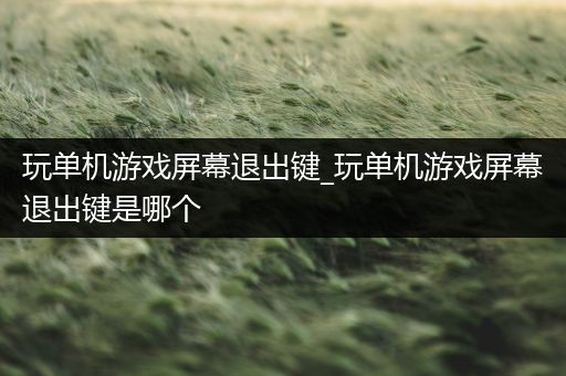 玩单机游戏屏幕退出键_玩单机游戏屏幕退出键是哪个