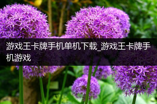 游戏王卡牌手机单机下载_游戏王卡牌手机游戏