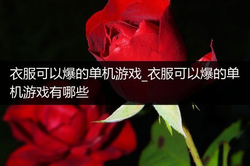 衣服可以爆的单机游戏_衣服可以爆的单机游戏有哪些