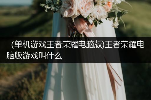 （单机游戏王者荣耀电脑版)王者荣耀电脑版游戏叫什么