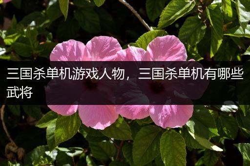 三国杀单机游戏人物，三国杀单机有哪些武将