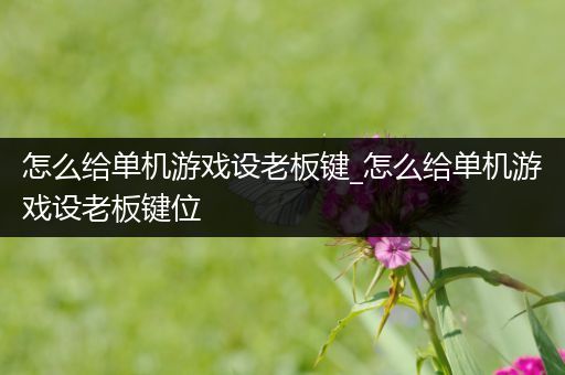 怎么给单机游戏设老板键_怎么给单机游戏设老板键位