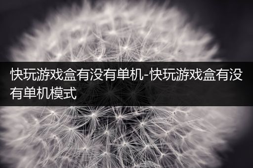 快玩游戏盒有没有单机-快玩游戏盒有没有单机模式