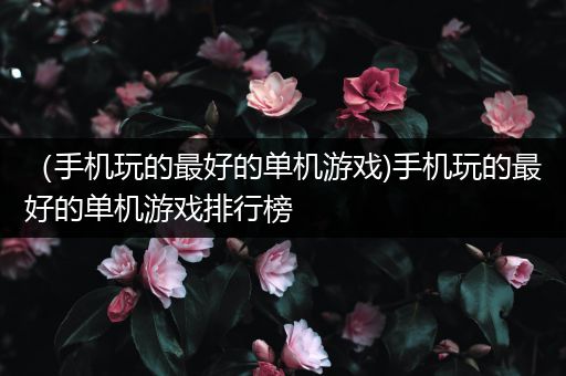 （手机玩的最好的单机游戏)手机玩的最好的单机游戏排行榜