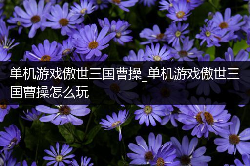 单机游戏傲世三国曹操_单机游戏傲世三国曹操怎么玩