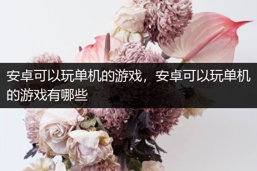 安卓可以玩单机的游戏，安卓可以玩单机的游戏有哪些
