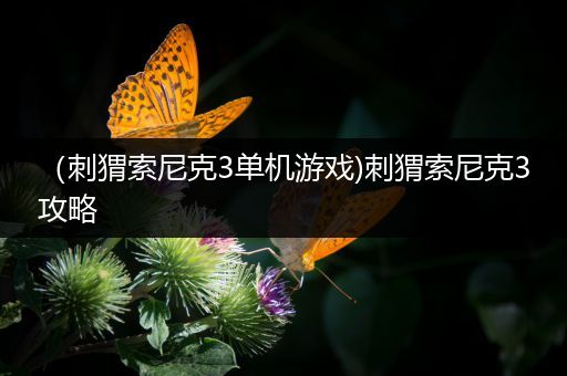 （刺猬索尼克3单机游戏)刺猬索尼克3攻略