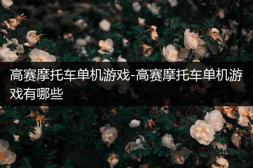 高赛摩托车单机游戏-高赛摩托车单机游戏有哪些