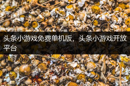头条小游戏免费单机版，头条小游戏开放平台