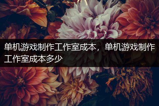 单机游戏制作工作室成本，单机游戏制作工作室成本多少