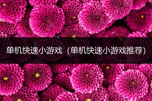 单机快速小游戏（单机快速小游戏推荐）