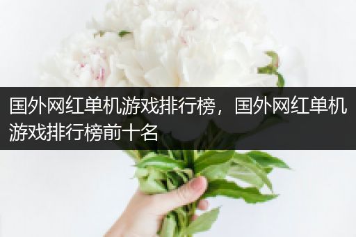 国外网红单机游戏排行榜，国外网红单机游戏排行榜前十名
