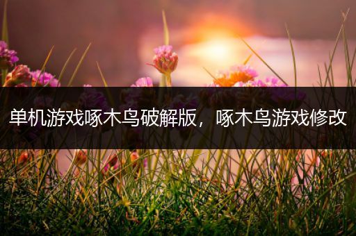 单机游戏啄木鸟破解版，啄木鸟游戏修改