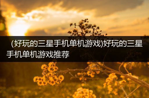 （好玩的三星手机单机游戏)好玩的三星手机单机游戏推荐