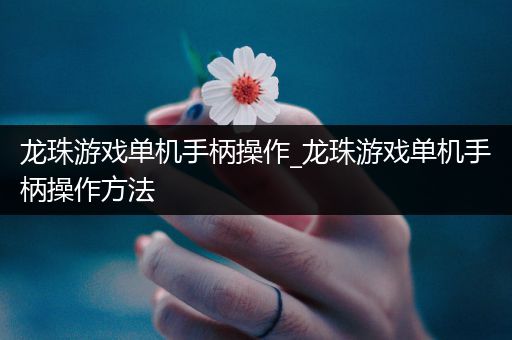 龙珠游戏单机手柄操作_龙珠游戏单机手柄操作方法