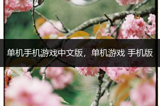 单机手机游戏中文版，单机游戏 手机版