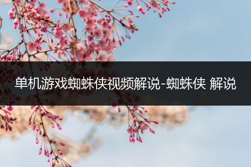 单机游戏蜘蛛侠视频解说-蜘蛛侠 解说
