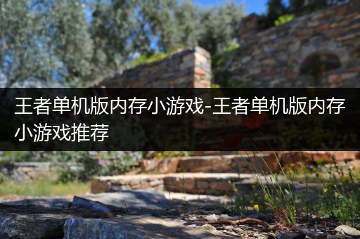 王者单机版内存小游戏-王者单机版内存小游戏推荐