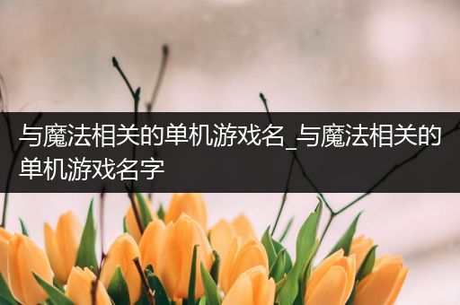 与魔法相关的单机游戏名_与魔法相关的单机游戏名字