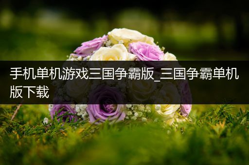 手机单机游戏三国争霸版_三国争霸单机版下载